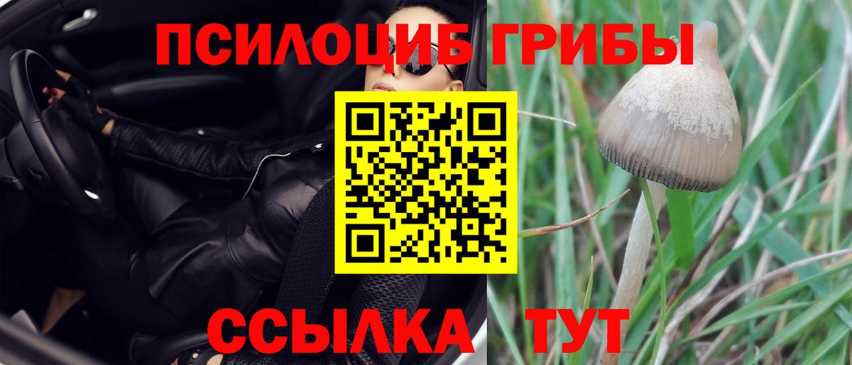 Галлюциногенные грибы прущие грибы  Вход с VPN  Алейск 